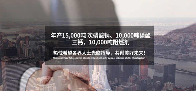 常熟新特化工有限公司